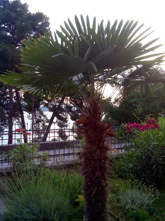 Studio Sirena Appartement Zadar